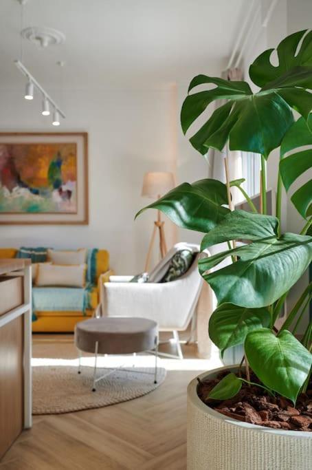 Kaizen Chania - New Central Apartment Just 350M Away With Private Jacuzzi And Free Parking! Kültér fotó